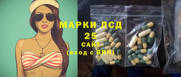 сатива Армянск