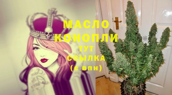 сатива Армянск