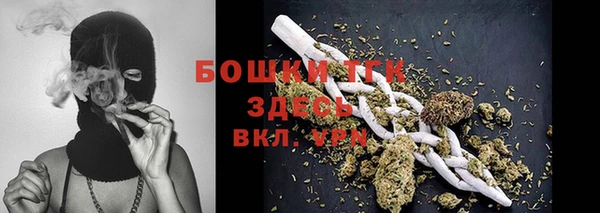 сатива Армянск